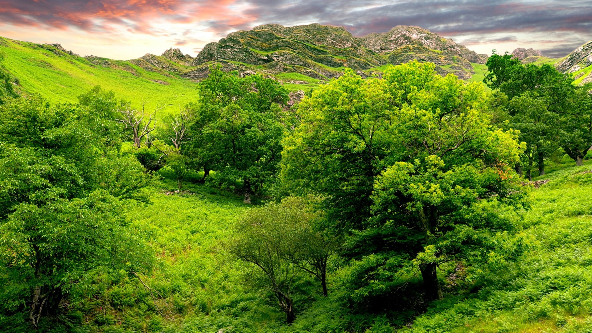 Kitab Tauhid (Bagian 4)