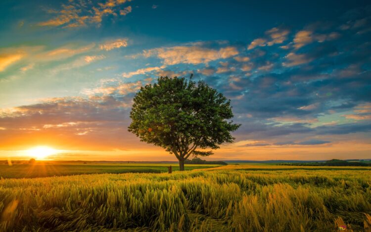 Bekal Iman dan Takwa